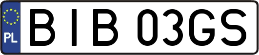 BIB03GS
