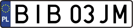 BIB03JM