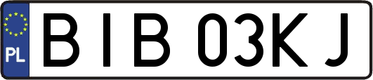 BIB03KJ
