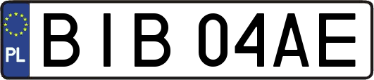BIB04AE
