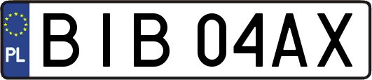 BIB04AX