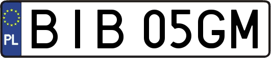 BIB05GM