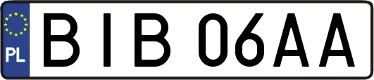 BIB06AA
