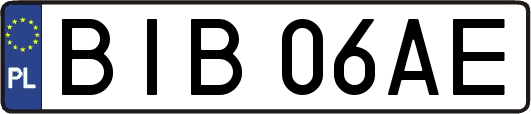 BIB06AE
