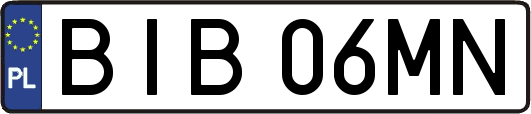 BIB06MN