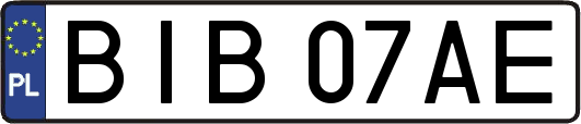 BIB07AE