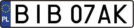 BIB07AK