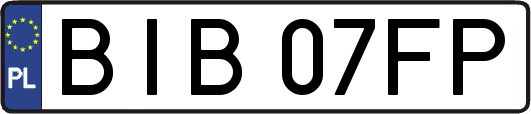 BIB07FP
