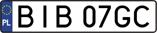 BIB07GC