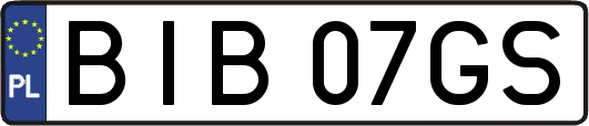 BIB07GS