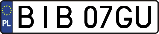 BIB07GU