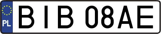 BIB08AE