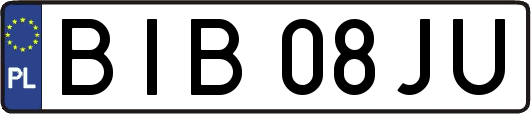 BIB08JU
