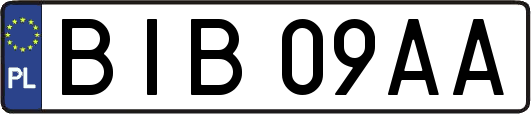 BIB09AA
