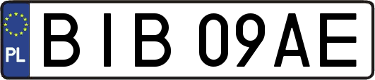 BIB09AE
