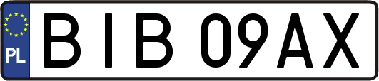 BIB09AX