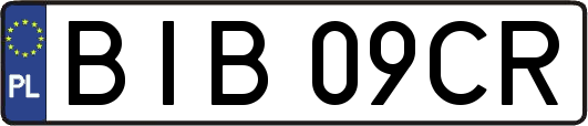 BIB09CR