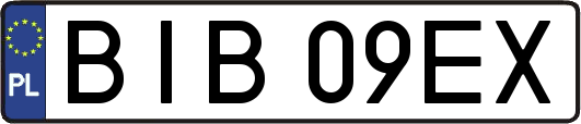 BIB09EX
