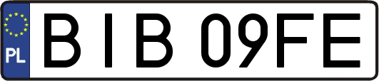 BIB09FE