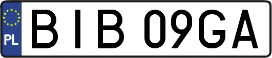 BIB09GA