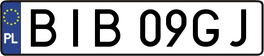 BIB09GJ