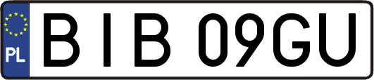 BIB09GU