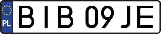 BIB09JE