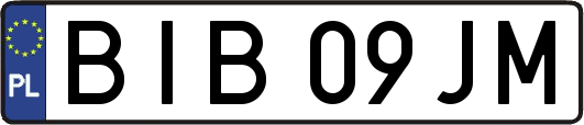 BIB09JM