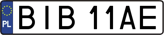 BIB11AE