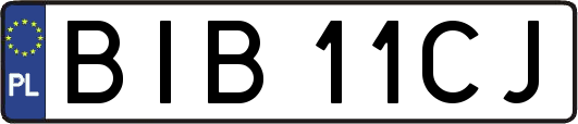 BIB11CJ