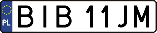 BIB11JM