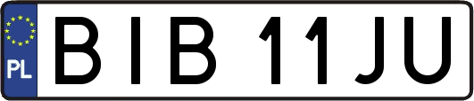 BIB11JU