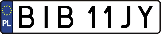BIB11JY