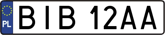 BIB12AA