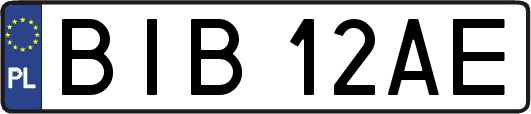 BIB12AE
