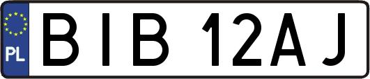 BIB12AJ