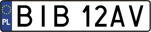 BIB12AV