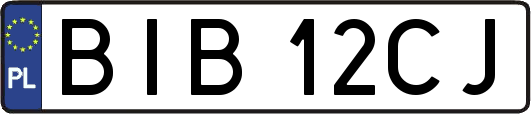 BIB12CJ