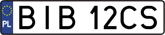 BIB12CS