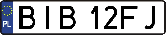 BIB12FJ