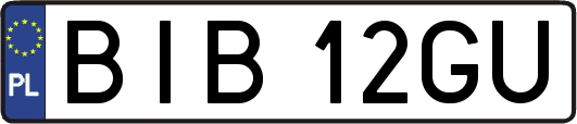 BIB12GU