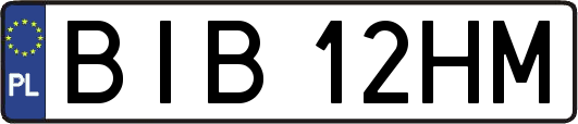 BIB12HM