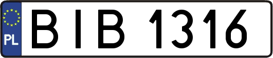 BIB1316
