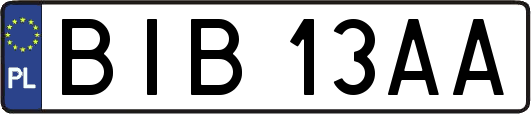 BIB13AA