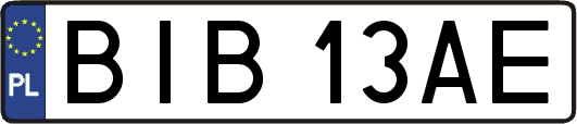 BIB13AE
