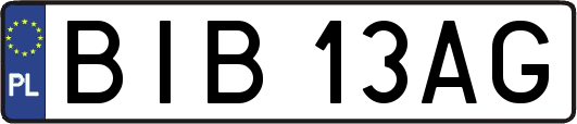 BIB13AG
