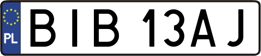 BIB13AJ