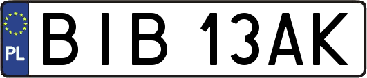 BIB13AK