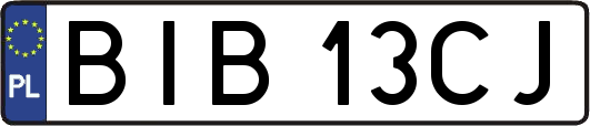 BIB13CJ