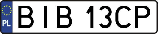 BIB13CP